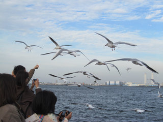 IMG_6154.jpg